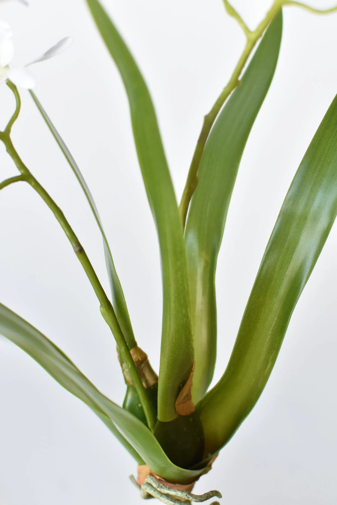 16" Faux Mini Orchid Stem with Leaves and Roots - Image 4