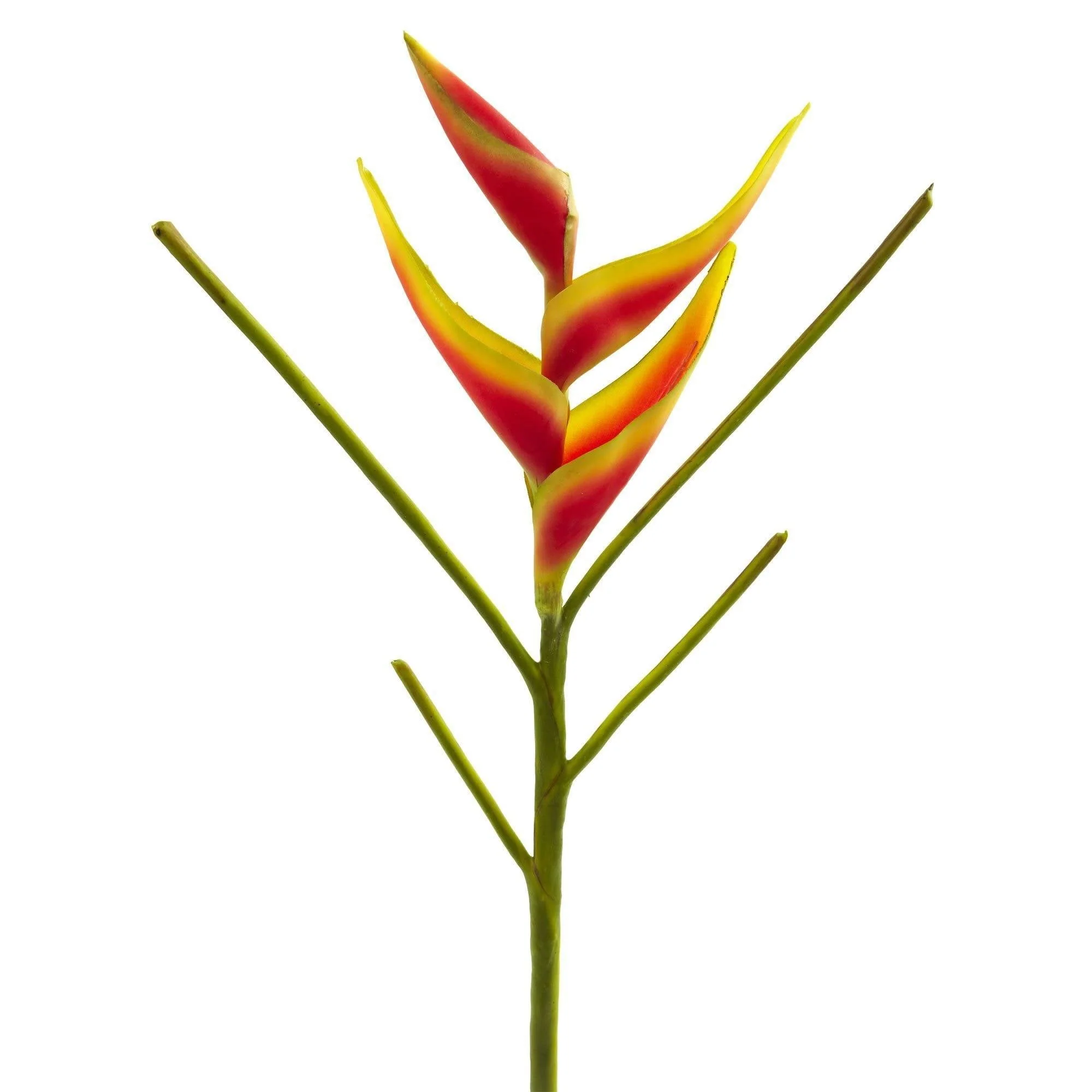 26’’ Heliconia Artificial Flower (Set of 4) - Image 2