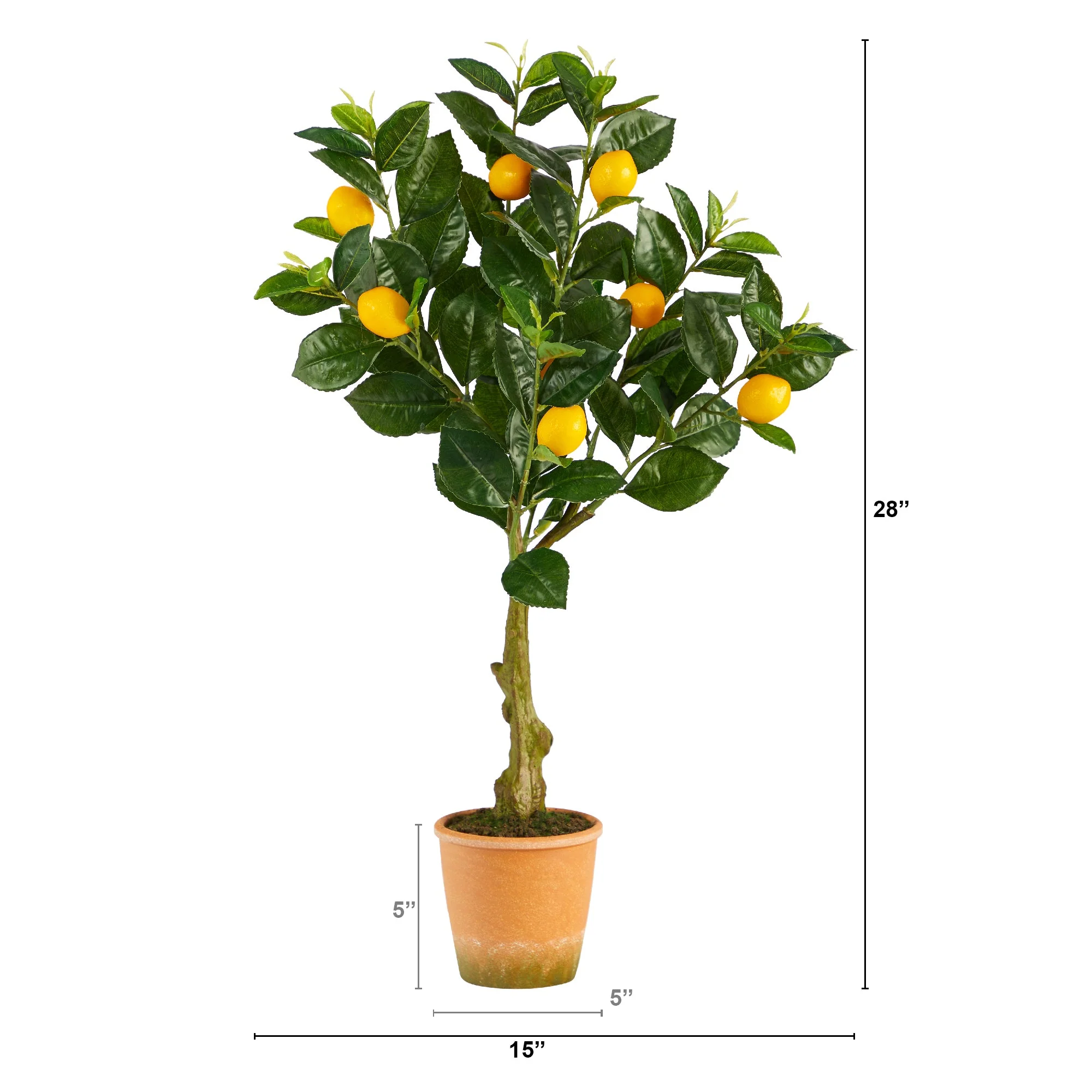 28” Lemon Artificial Tree in Decorative Planter - Image 3