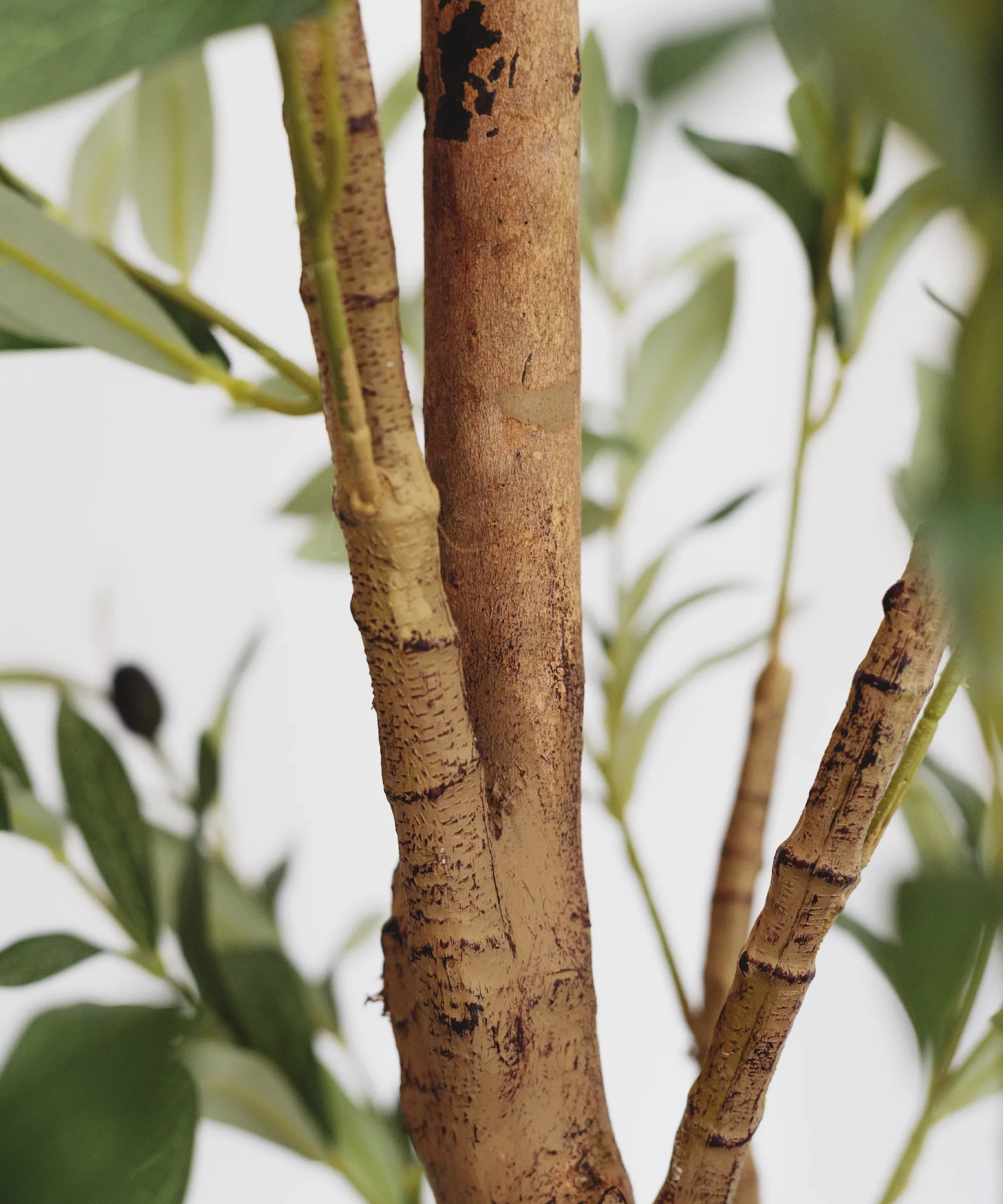 3.5ft Minimal Artificial Olive Tree - Image 2