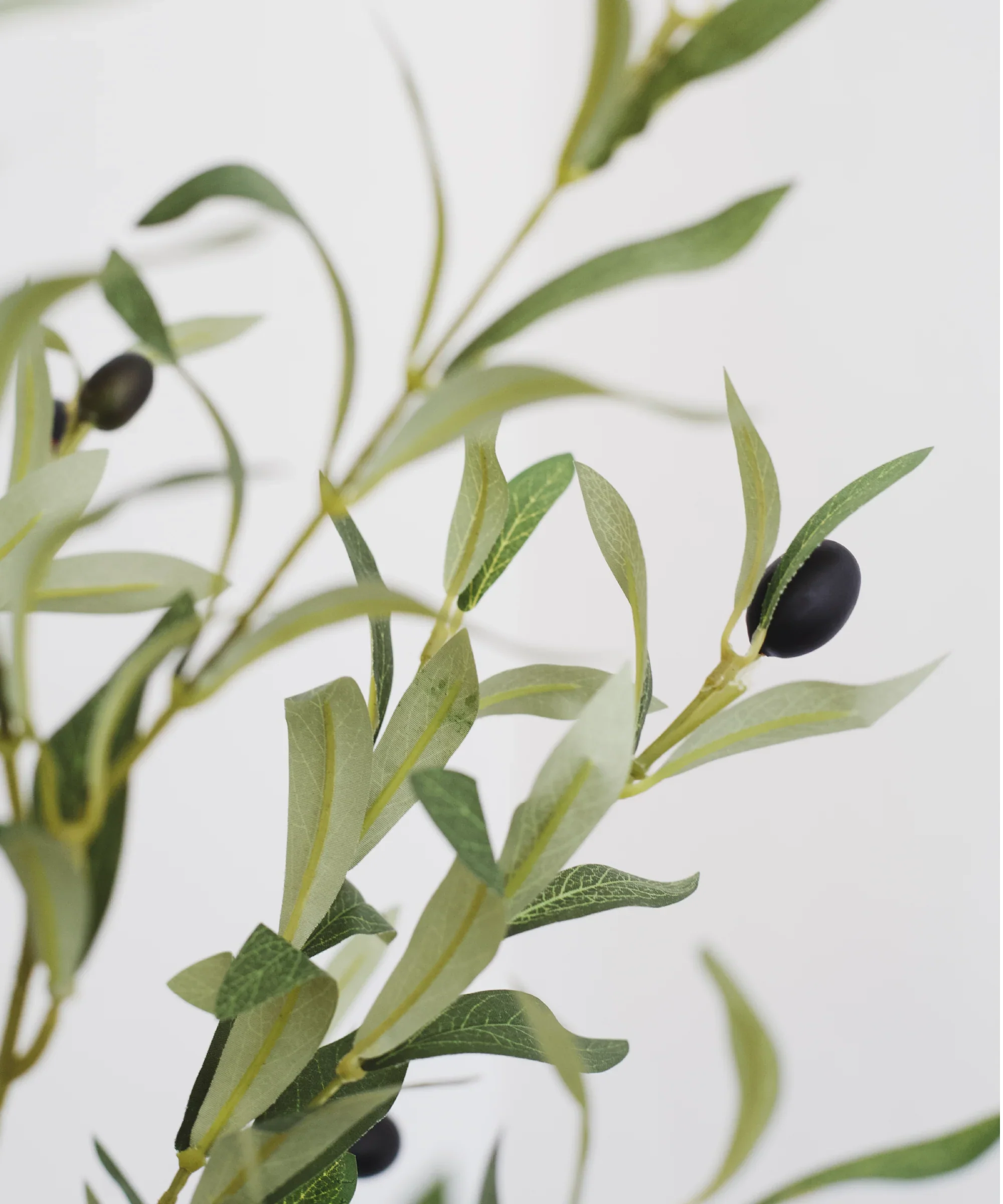 3.5ft Minimal Artificial Olive Tree - Image 3