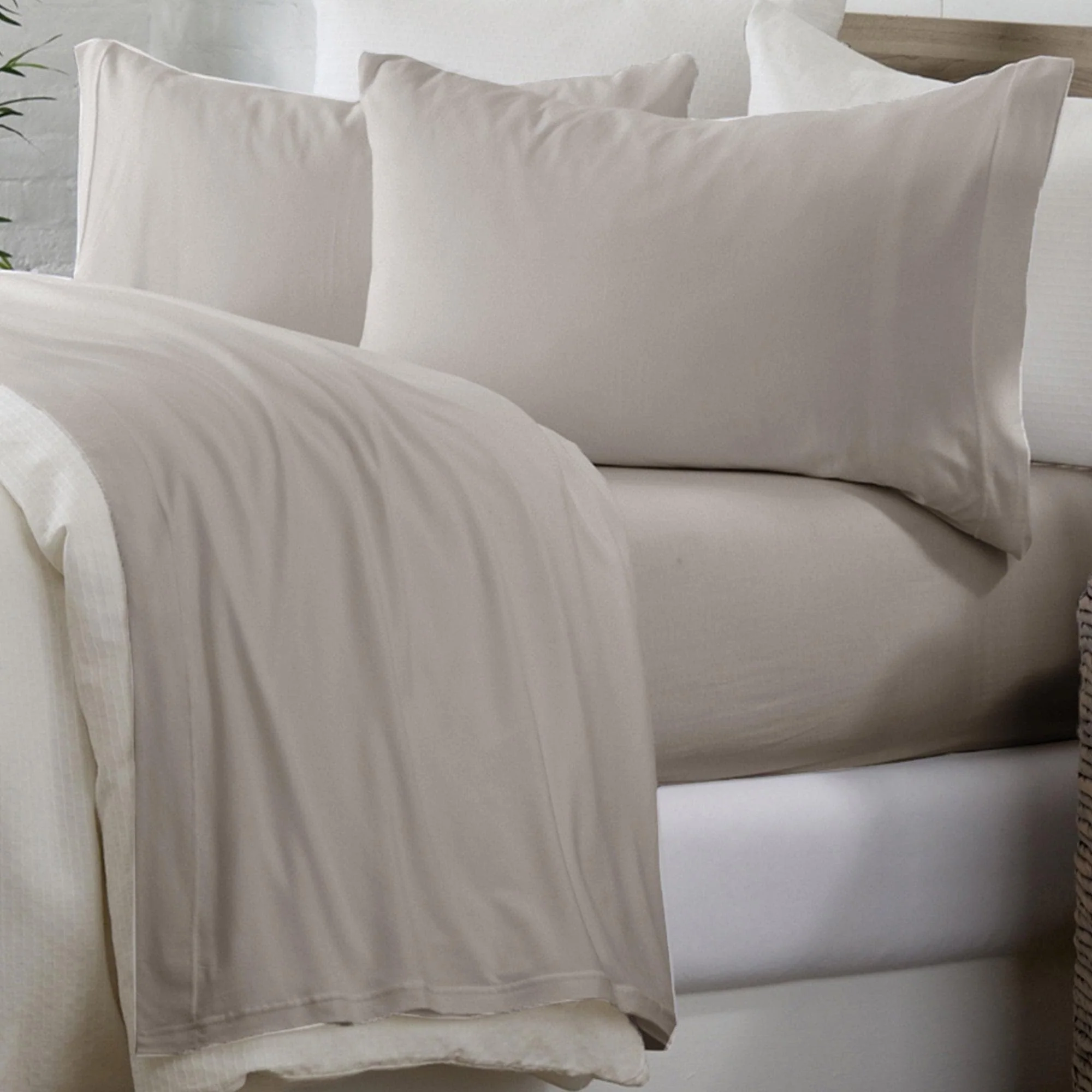 4-Piece Cotton Sheet Set - Murphy Collection - Image 2