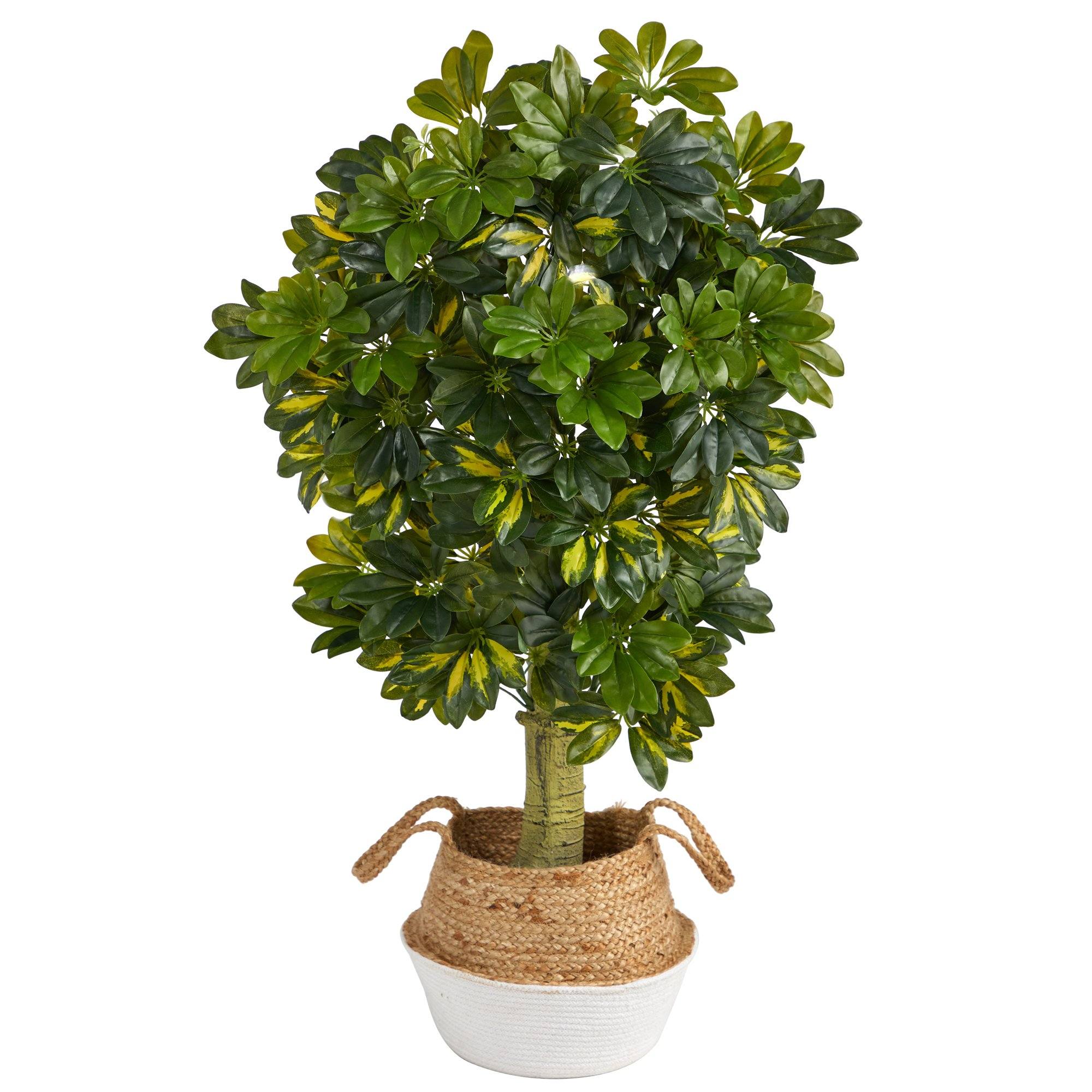 4’ Schefflera Artificial Tree in White Woven Planter (Real Touch)