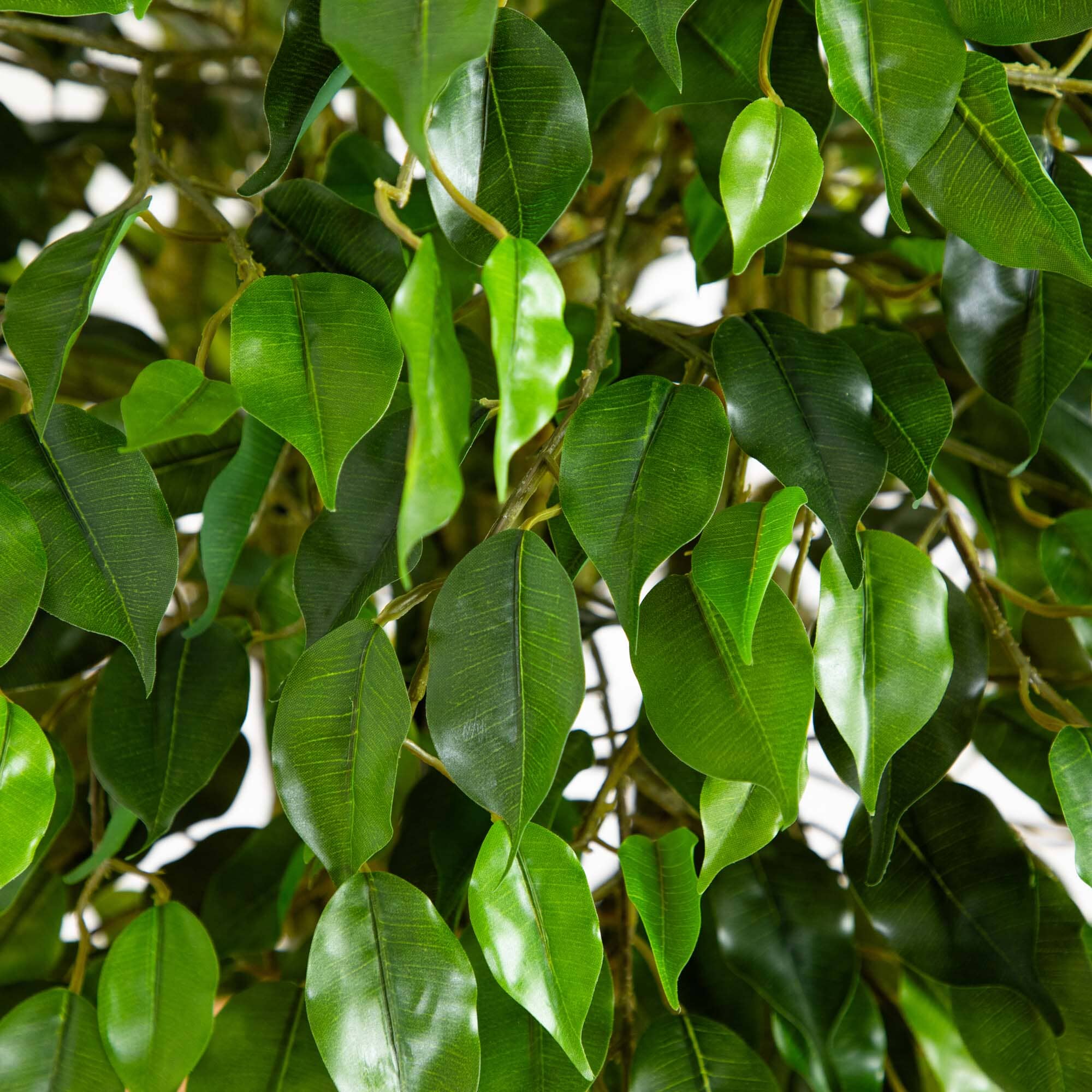 5' Ficus Artificial Tree with Woven Trunk UV Resistant - Image 2