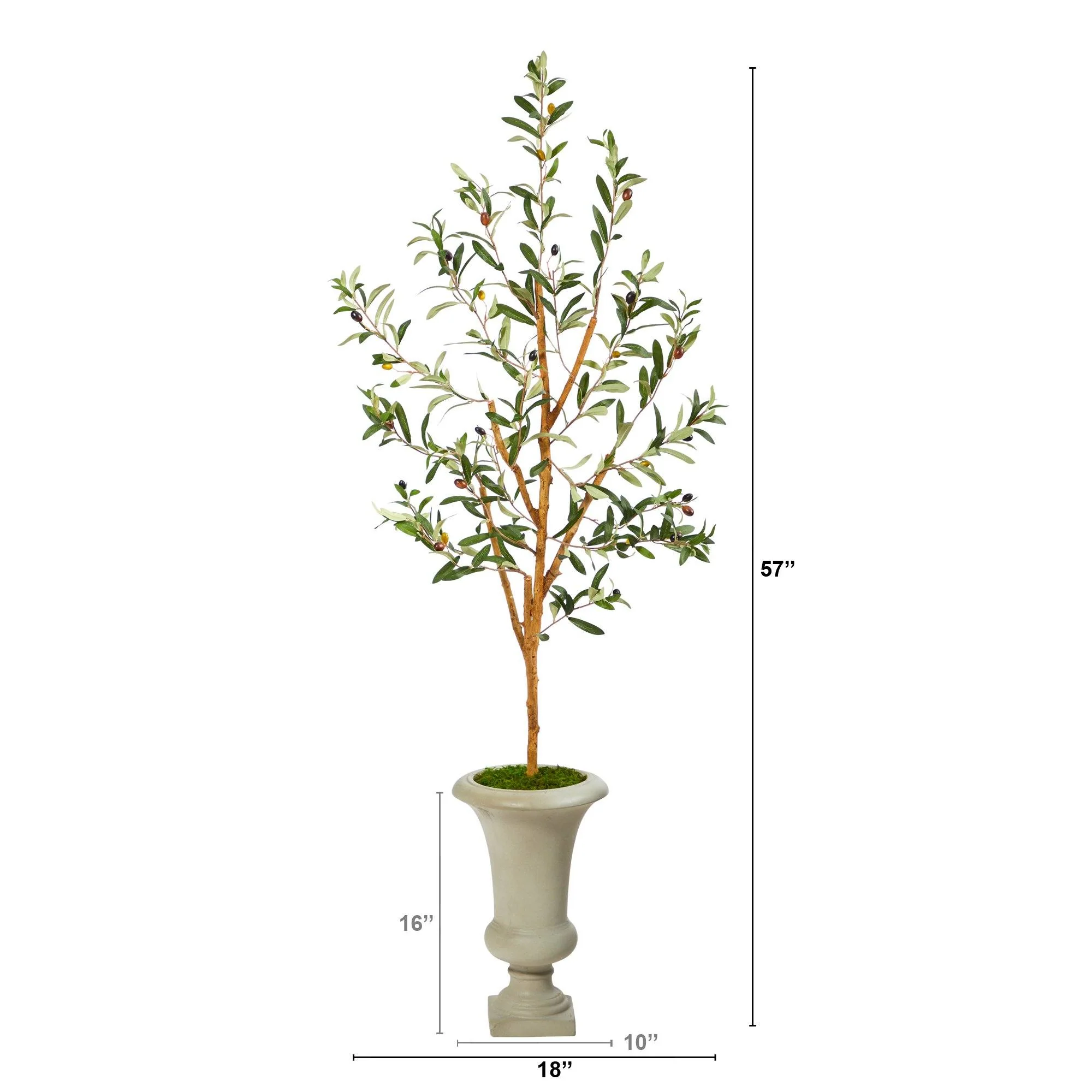 57” Olive Artificial Tree in Sand Colored Urn - Image 2
