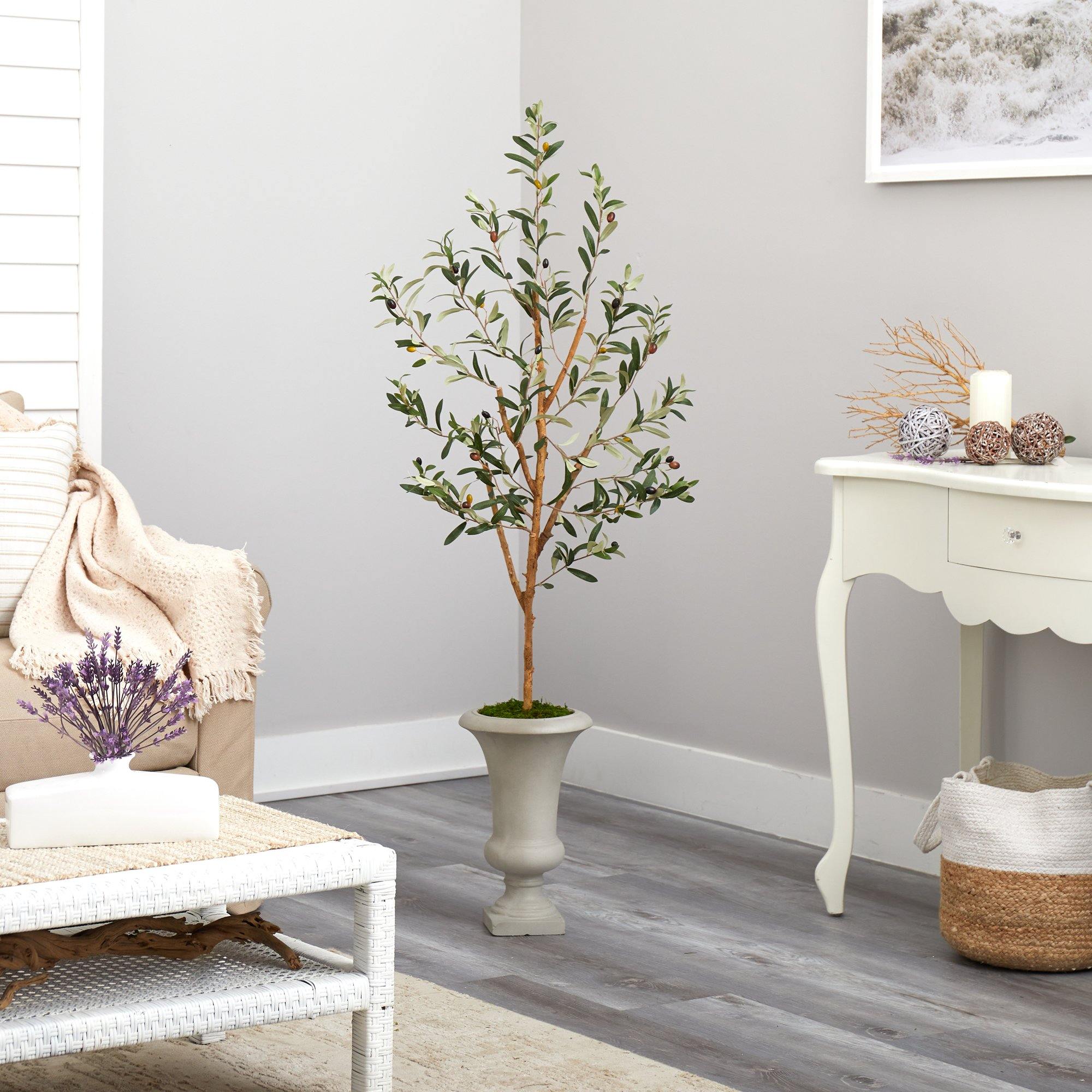 57” Olive Artificial Tree in Sand Colored Urn - Image 3