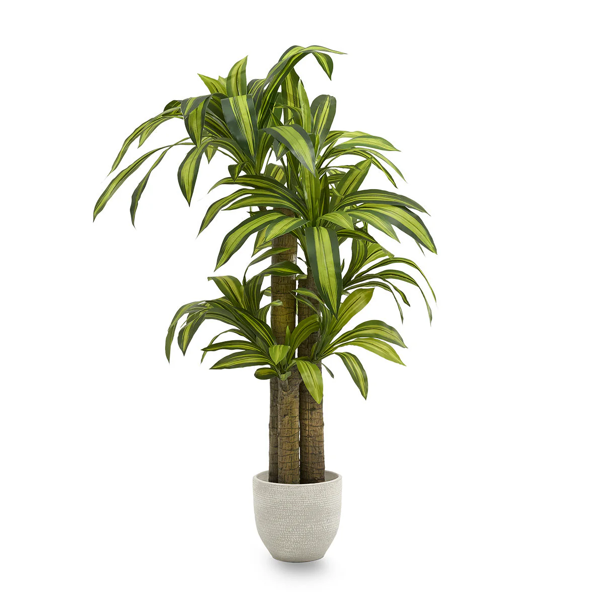 5ft Artificial Dracaena Tree - Image 2