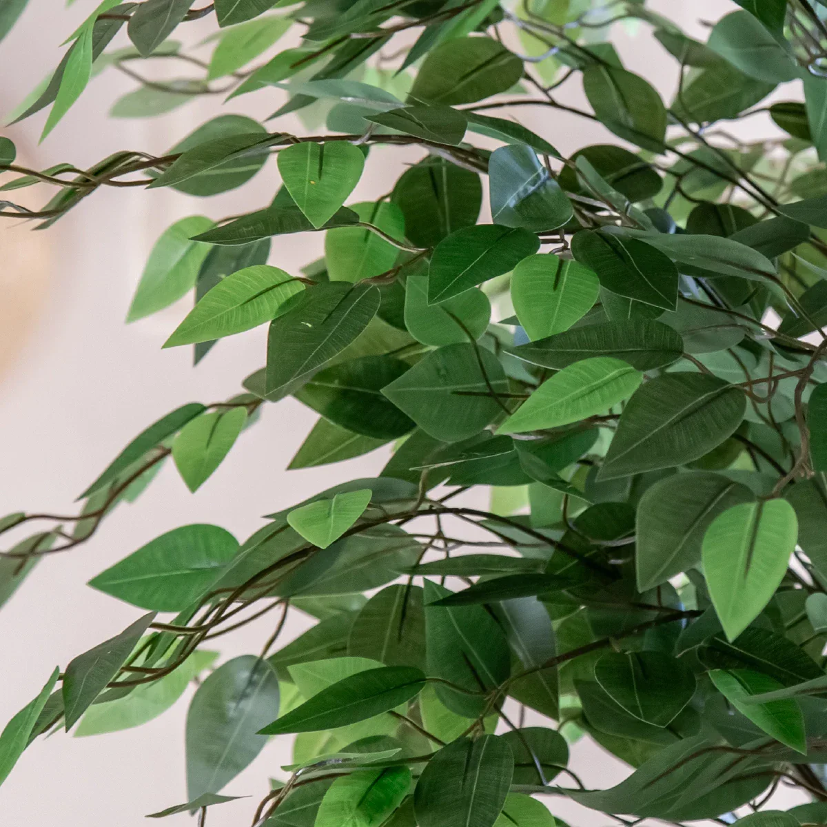 5ft Artificial Ficus Tree - Image 3