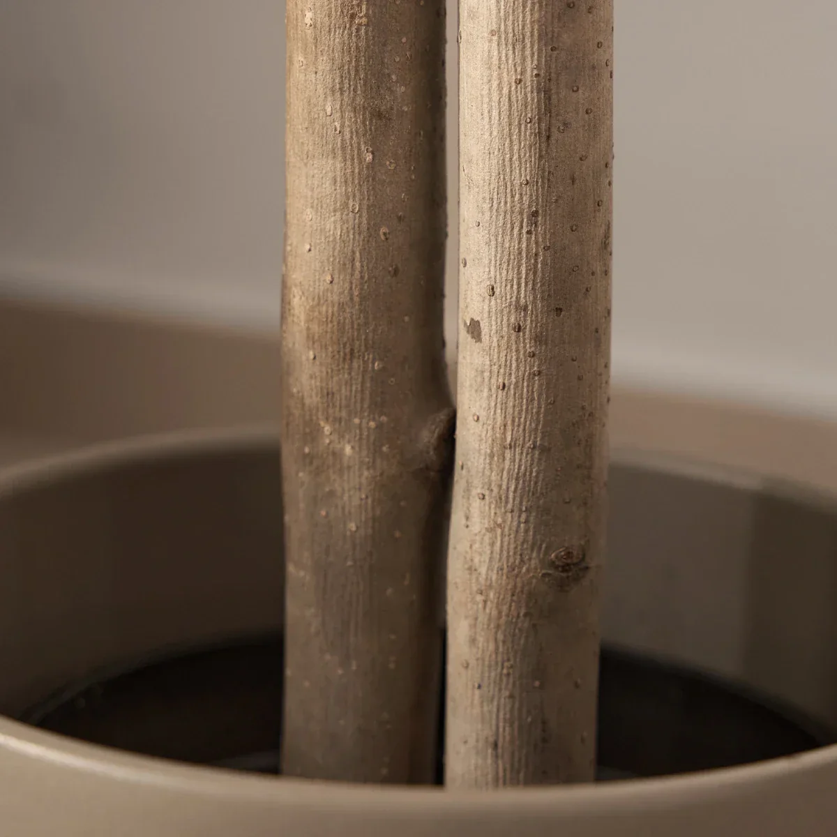 5ft Artificial Ficus Tree - Image 4