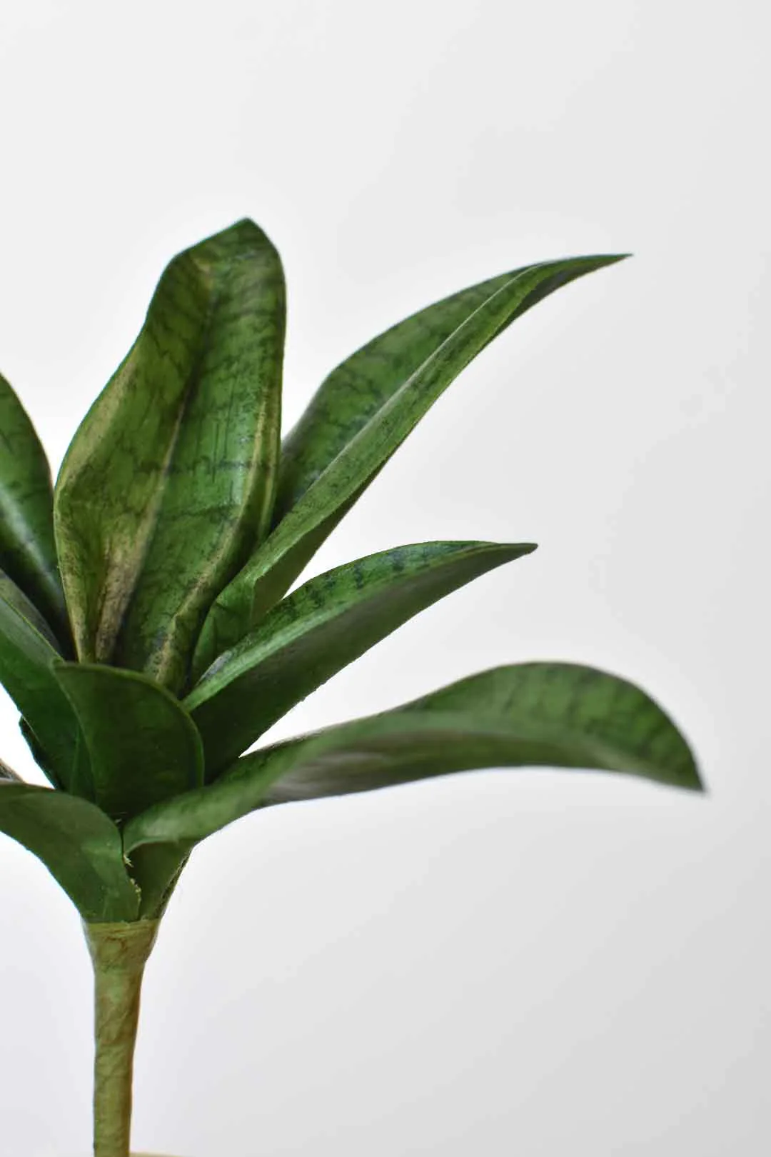 7" Faux Sanseveria Succulent Stem - Image 2