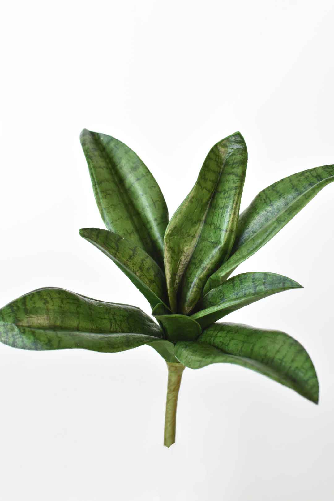 7" Faux Sanseveria Succulent Stem - Image 3
