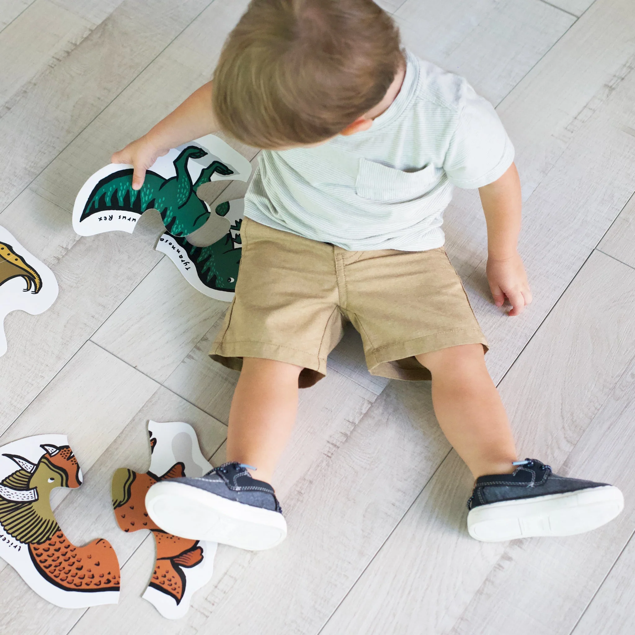 Beginner Puzzles - Dinos - Image 2