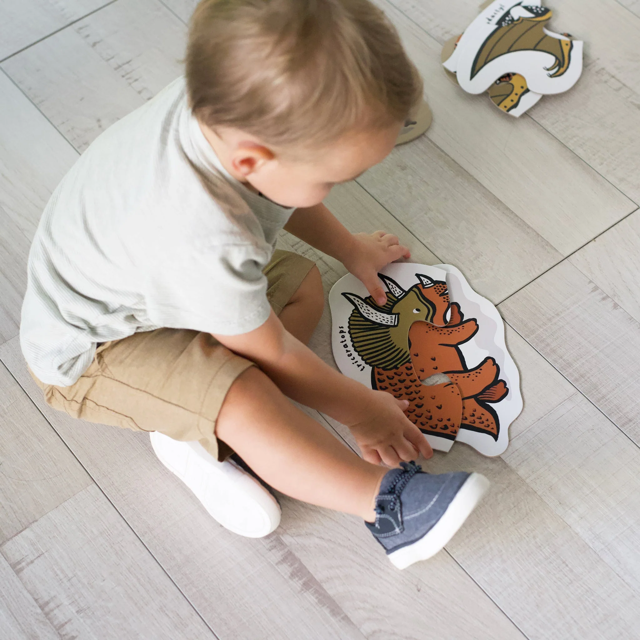 Beginner Puzzles - Dinos - Image 4