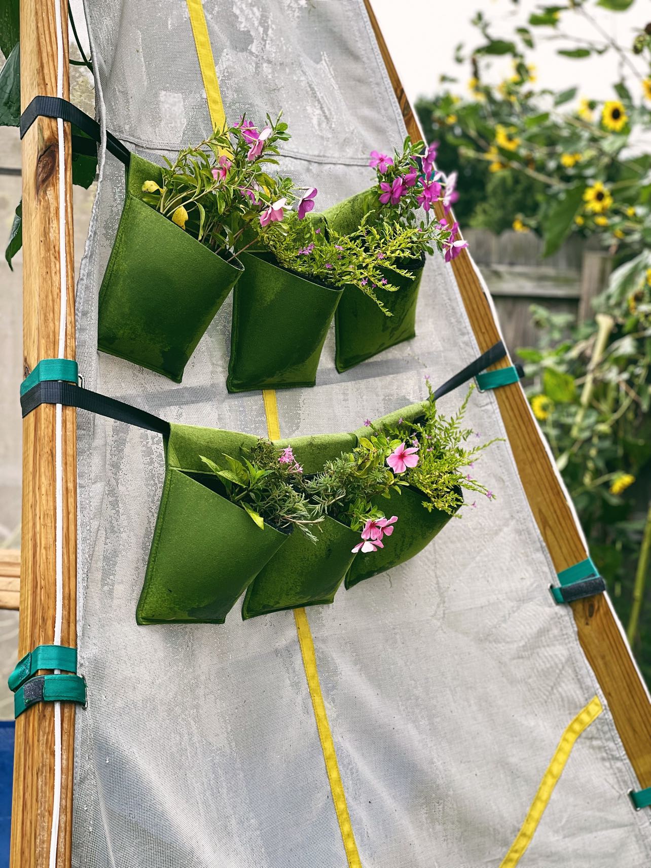 Bijou Bloom Hanging Planters - Image 9