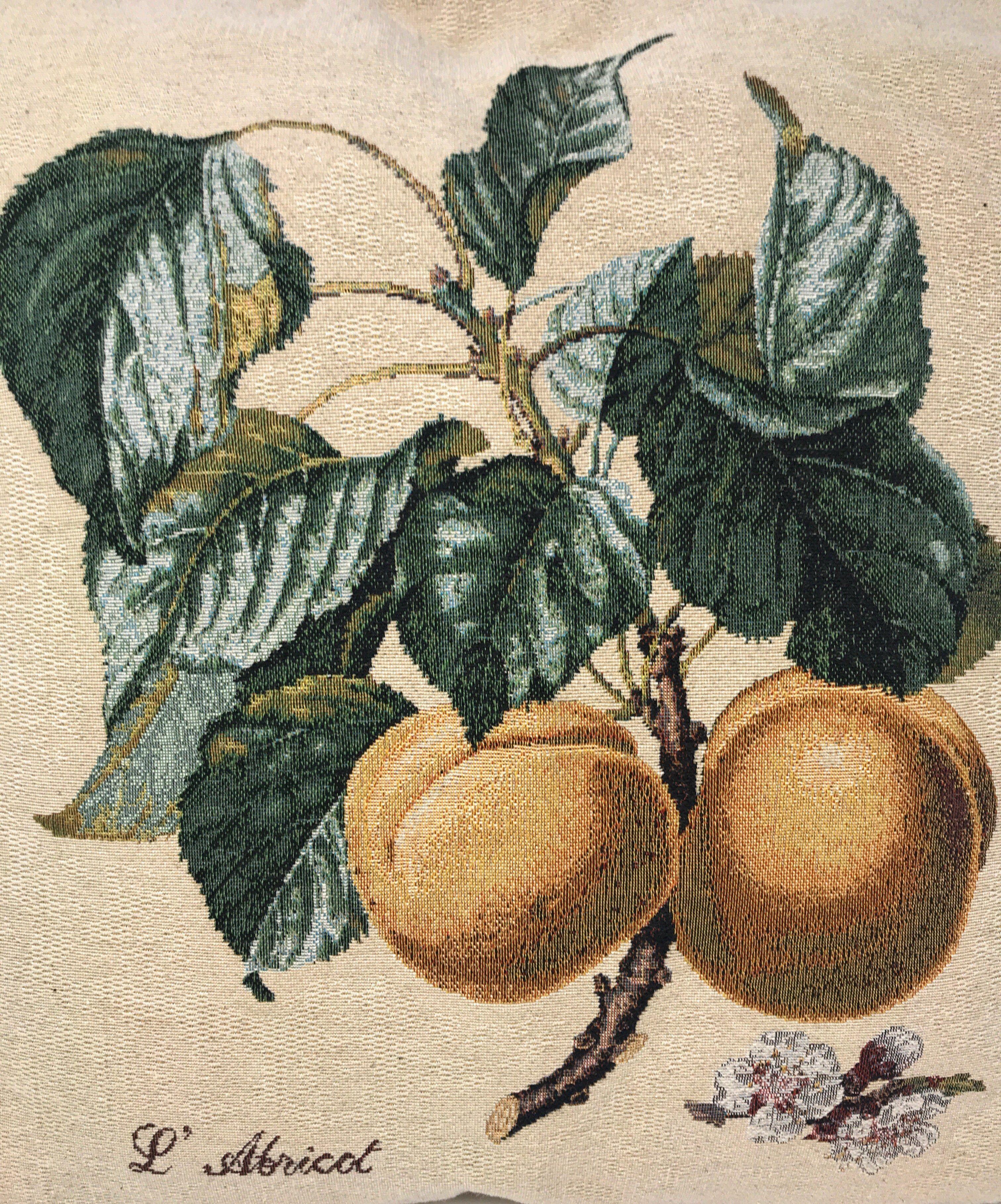 Set of 2 Yellow Apricot Fruits Throw Pillow Covers w/ Inserts - Image 3