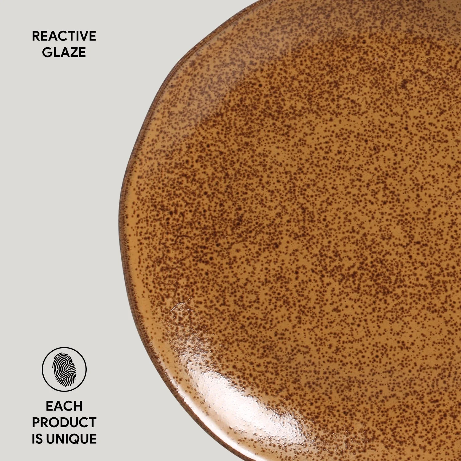 Dinner Plate Set of 6 - Image 162
