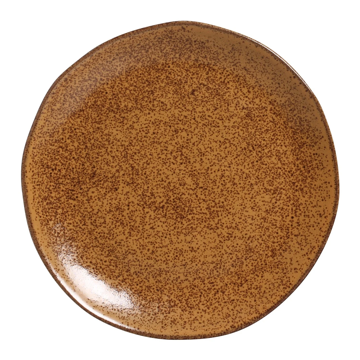 Dinner Plate Set of 6 - Image 164
