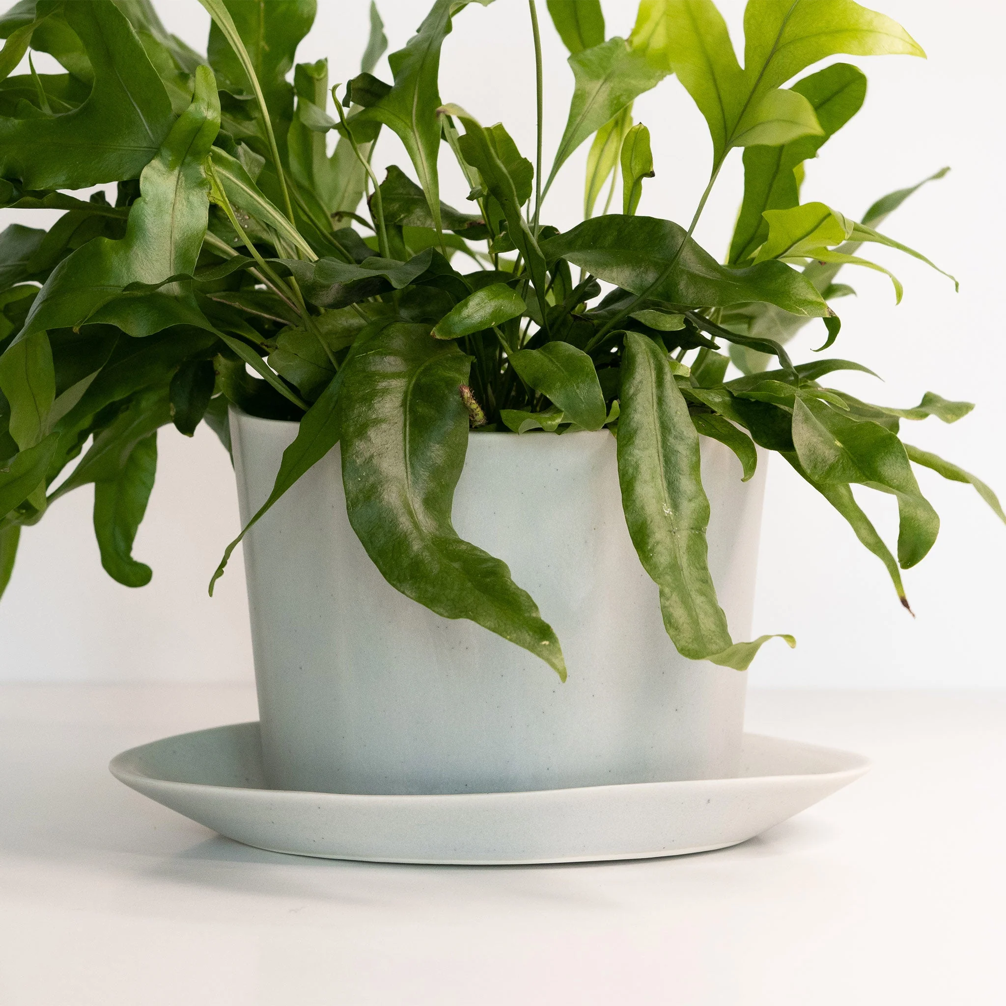 Geometric Oval Handmade Porcelain Planter - Image 5