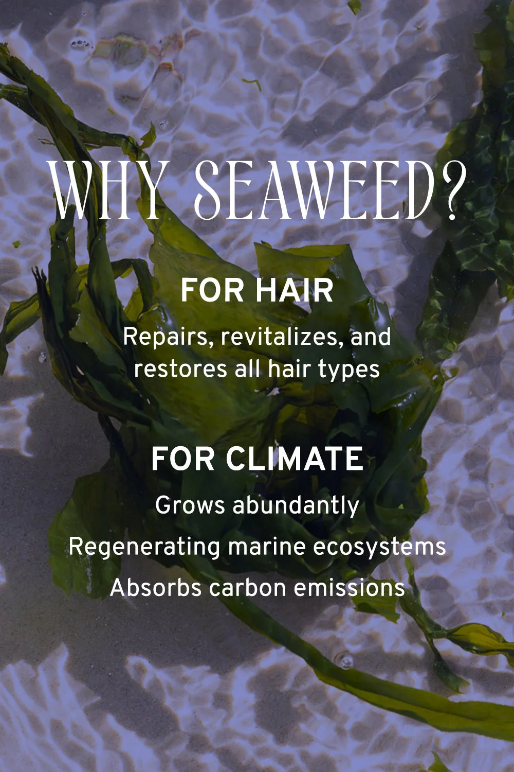 Hair & Scalp Serum - Image 5