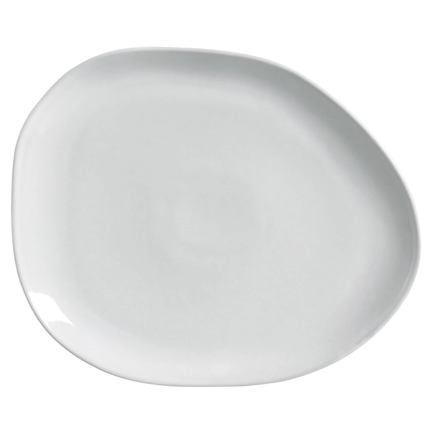 Oval Dinner Plate Set of 6 - Image 75