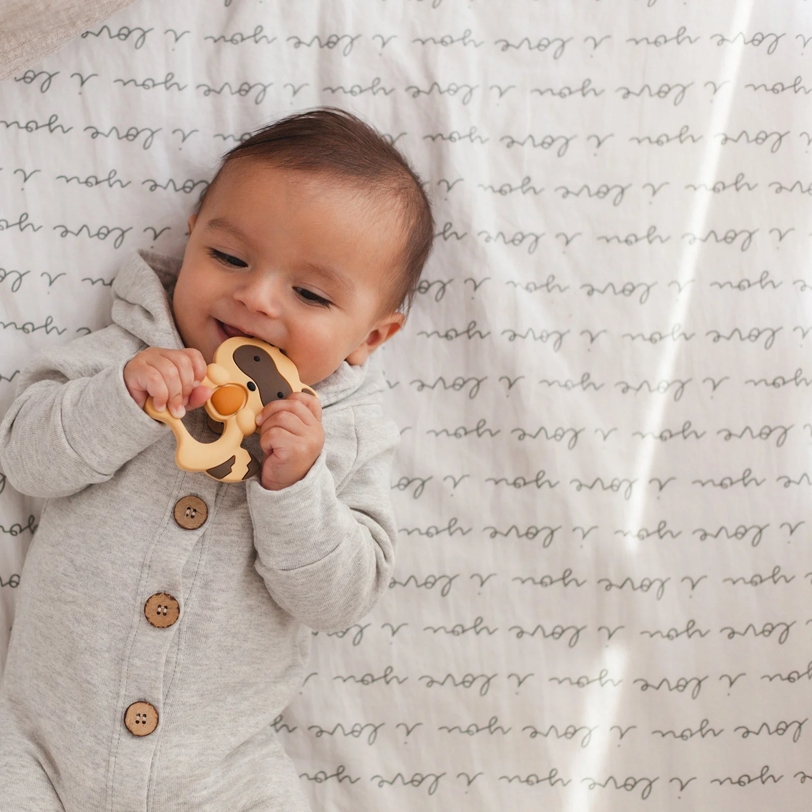 Raccoon Teether Set - Brown - Image 6