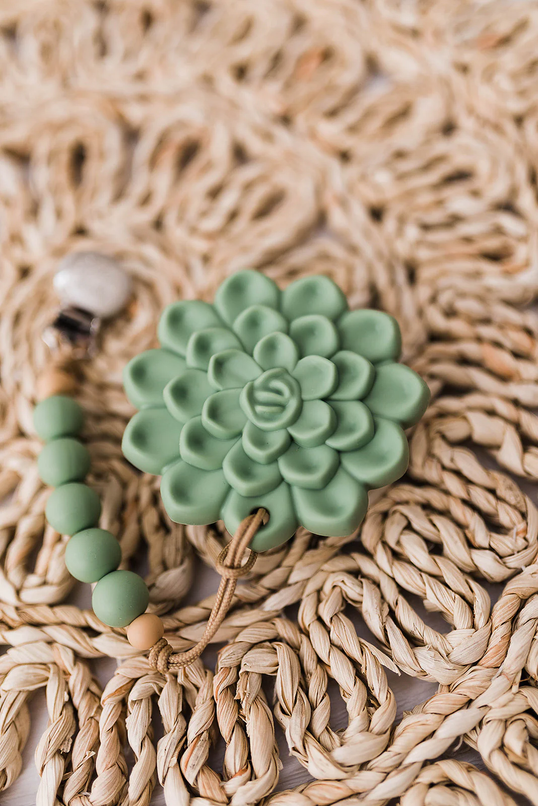 Succulent Teethers - Image 5