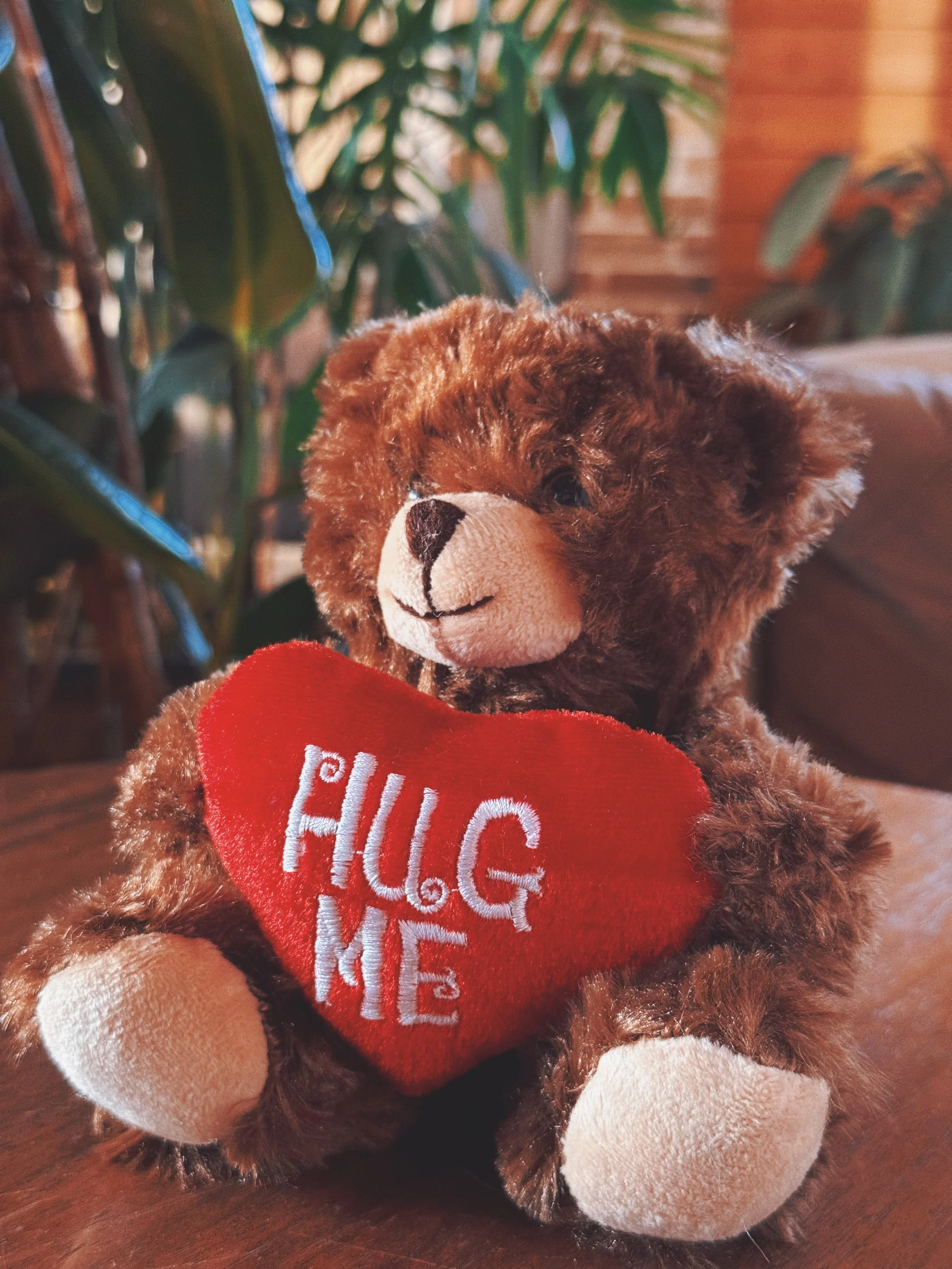 Valentine Bear 9" - Chocolate Hug Me - Image 5