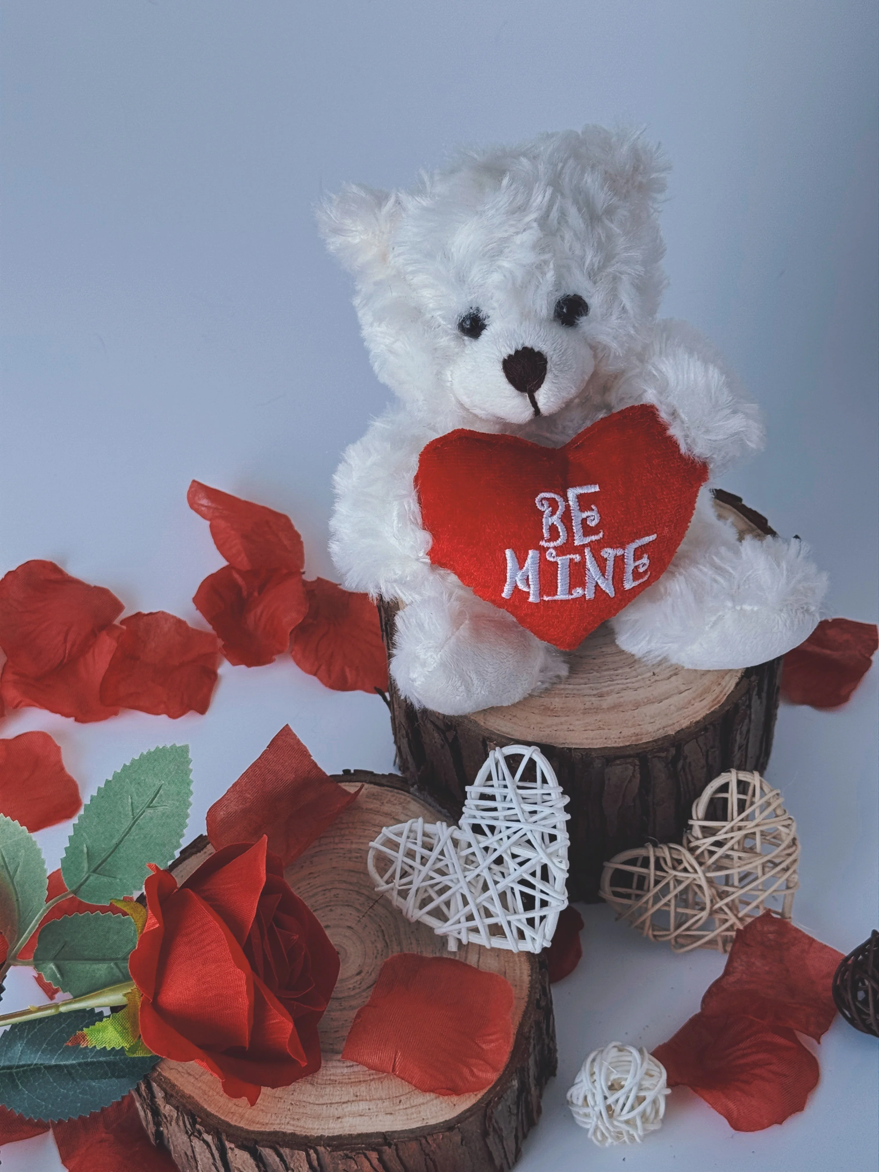 Valentine Mocha Bear Cream 9" - Image 5