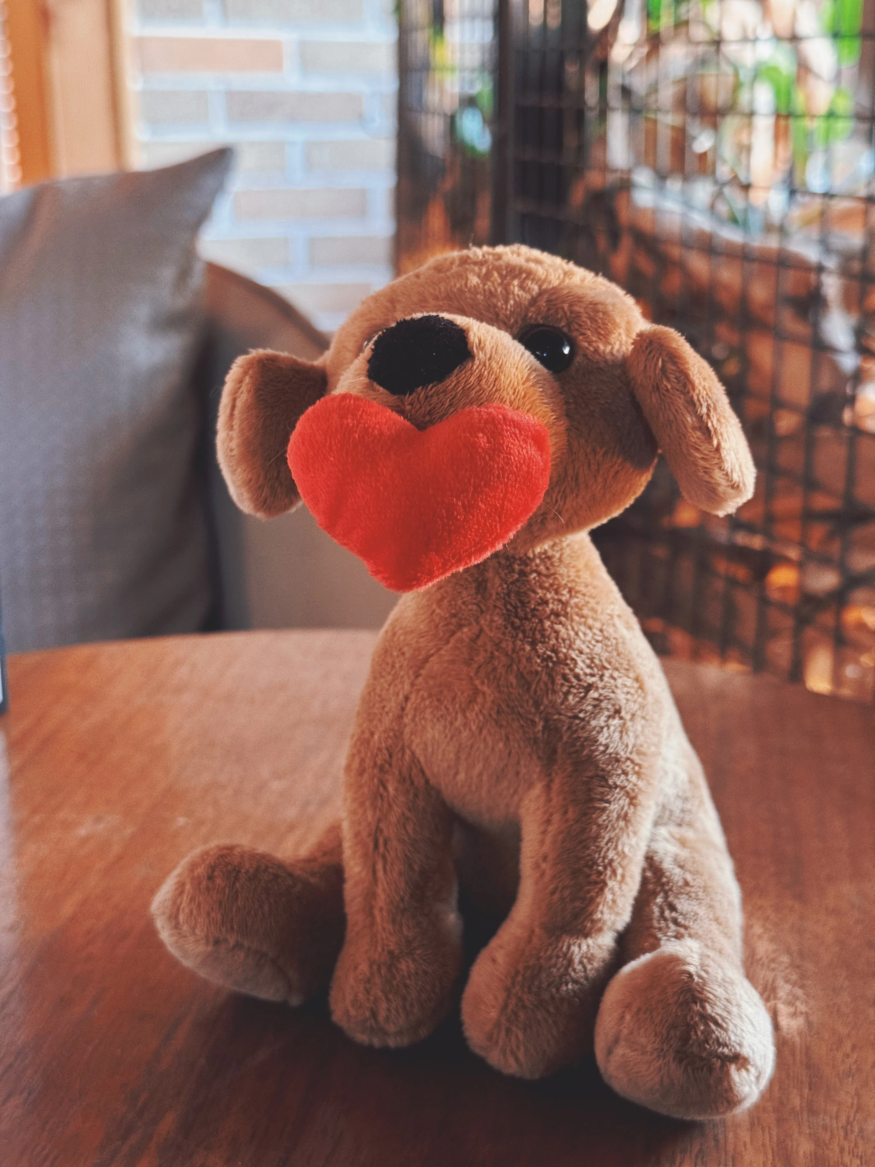 Valentine Pawpals Dog 8" - Image 14