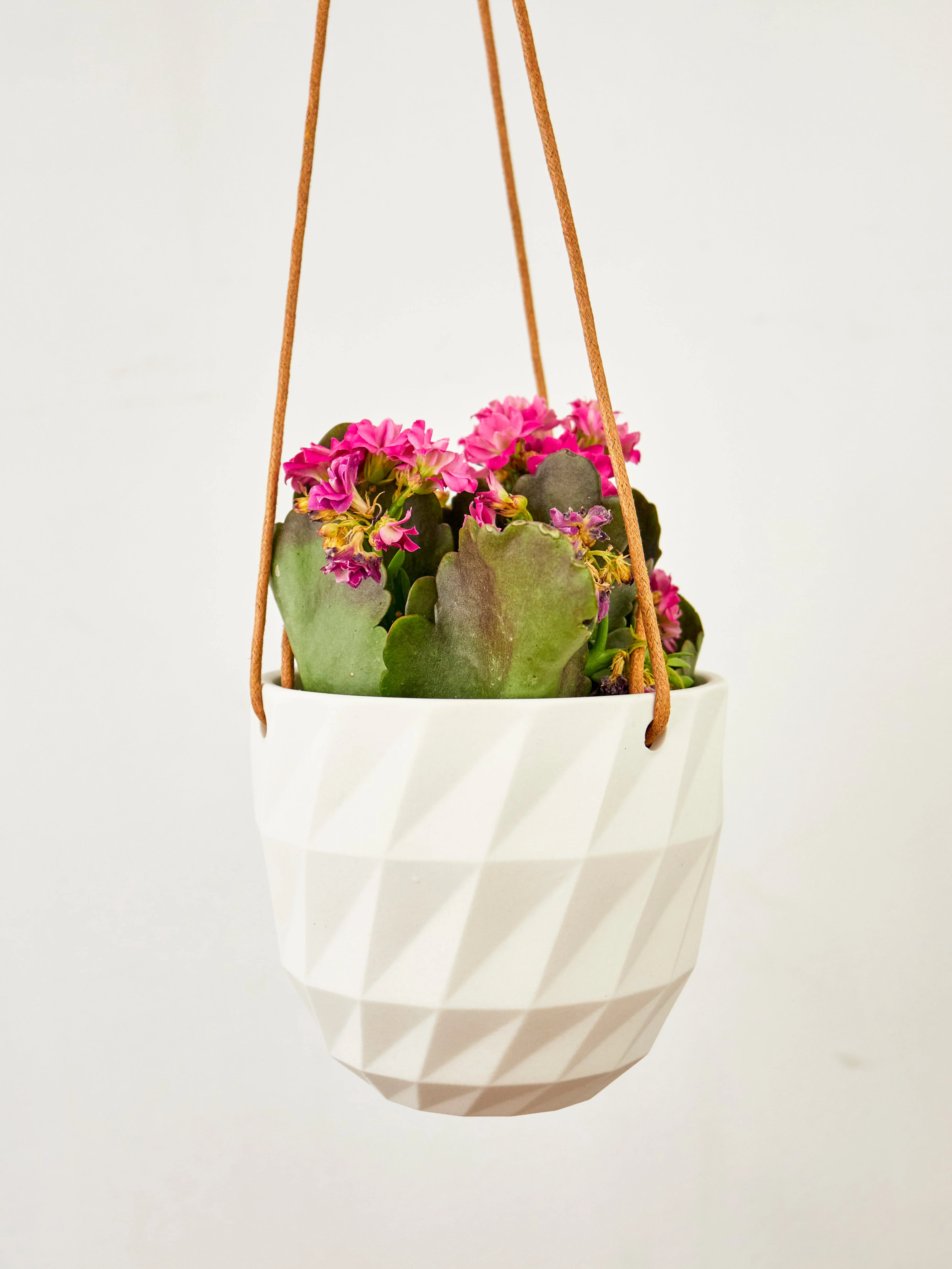 Virago Modern Hanging Planter - Grid - Image 20