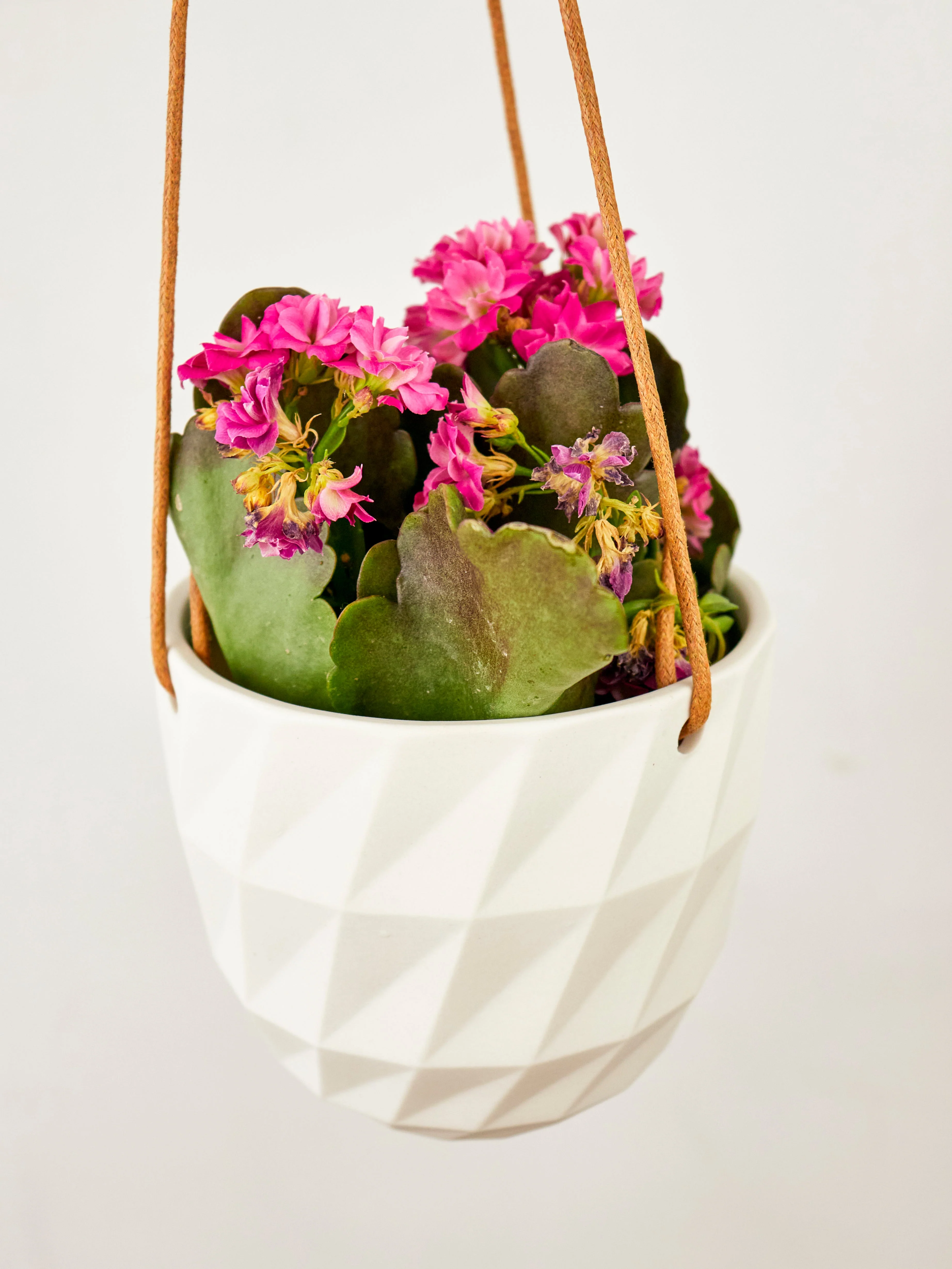 Virago Modern Hanging Planter - Grid - Image 21