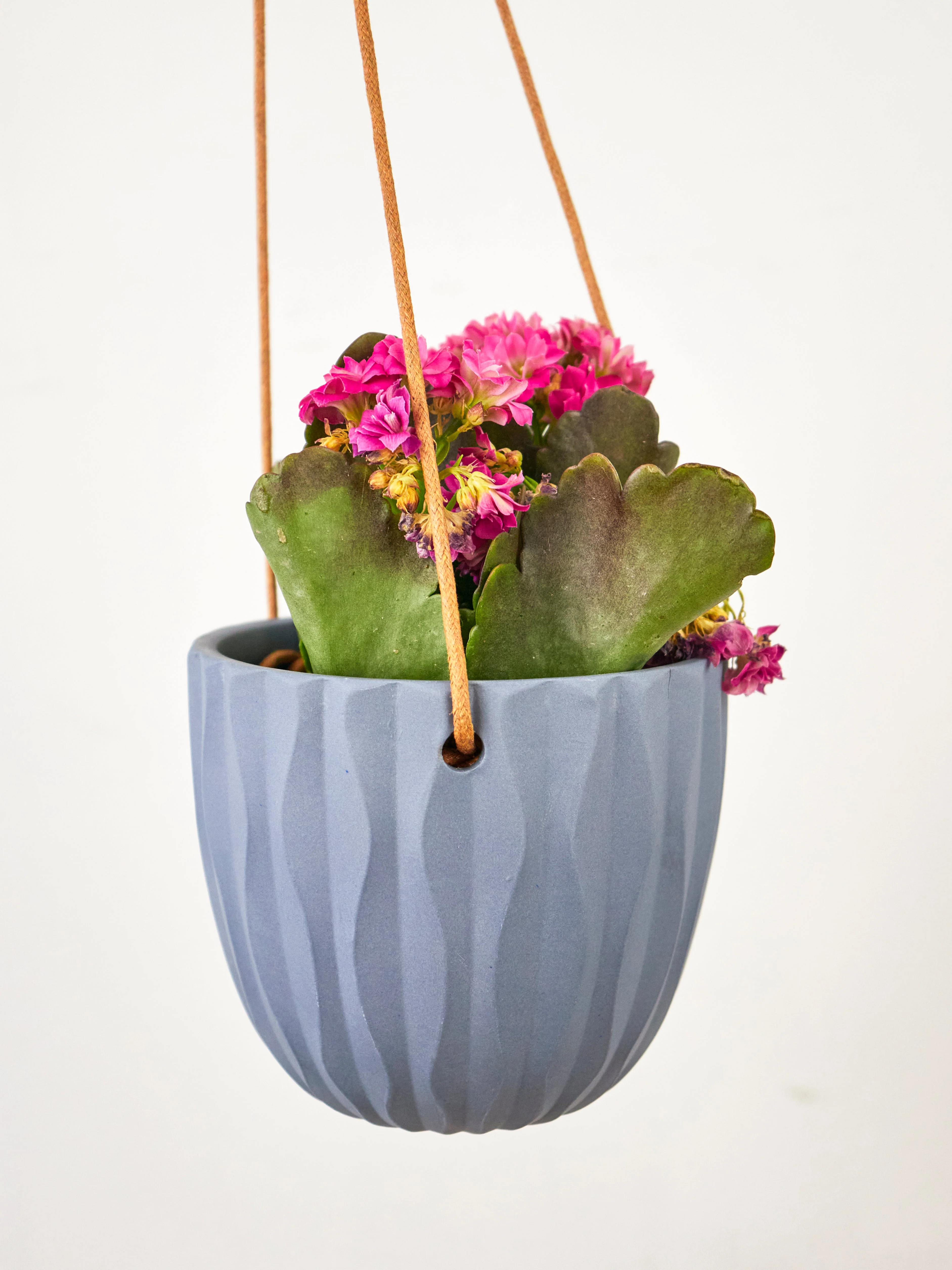Virago Modern Hanging Planter - Waves - Image 4
